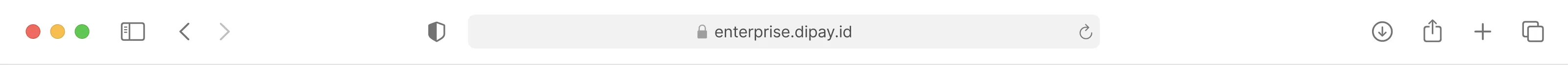 _web_disbursement_video_toolbar_assets